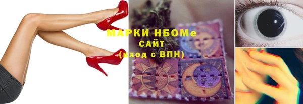 хмурый Болотное