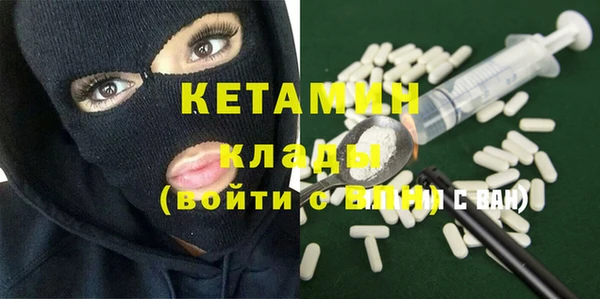 трава Няндома