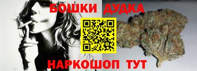 сатива Новодвинск