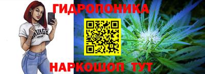 дживик Новозыбков