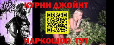 сатива Новодвинск