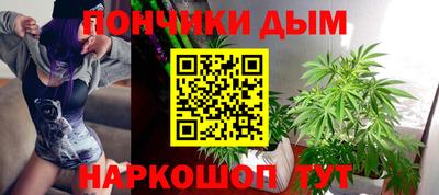 сатива Новодвинск