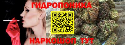 дживик Новозыбков