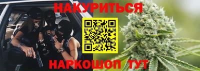 сатива Новодвинск