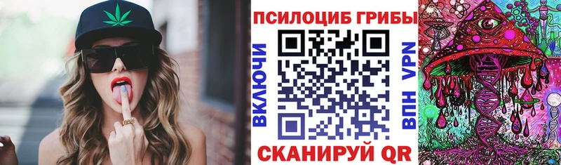 где купить наркотик  Троицк  Псилоцибиновые грибы прущие грибы 
