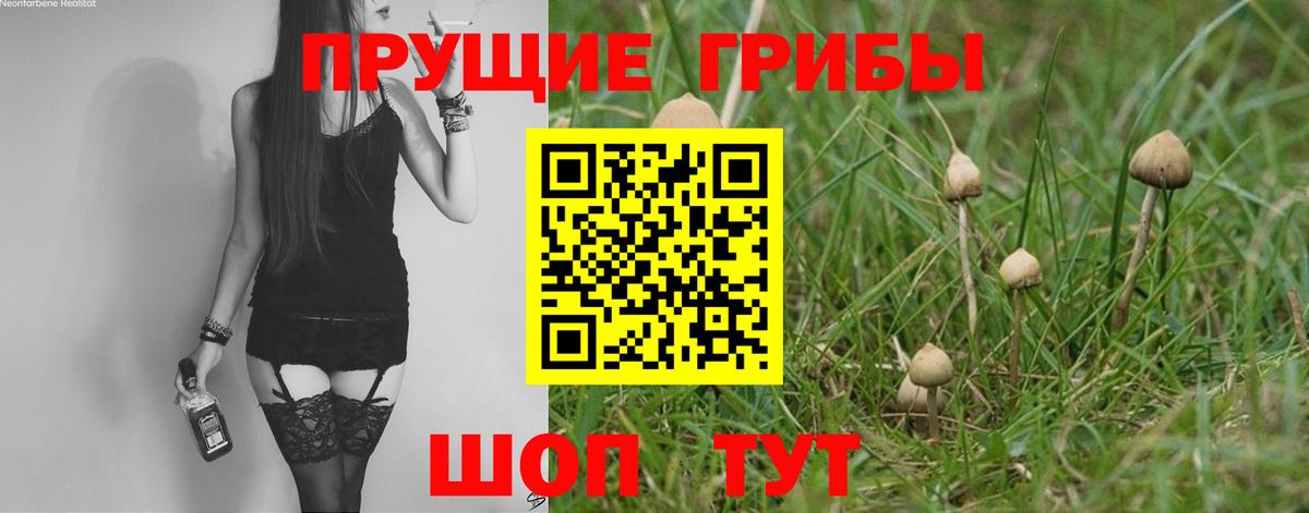 наркошоп  Псилоцибиновые грибы Magic Shrooms  Вход с VPN  Троицк 