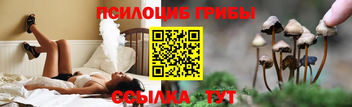 Псилоцибиновые грибы прущие грибы Троицк